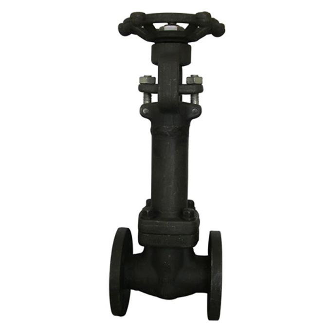 鍛鋼波紋管閘閥